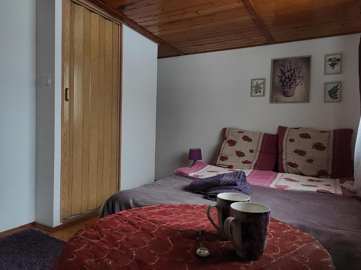 Home Stay Slotwinska Krynica Zdroj Exterior photo