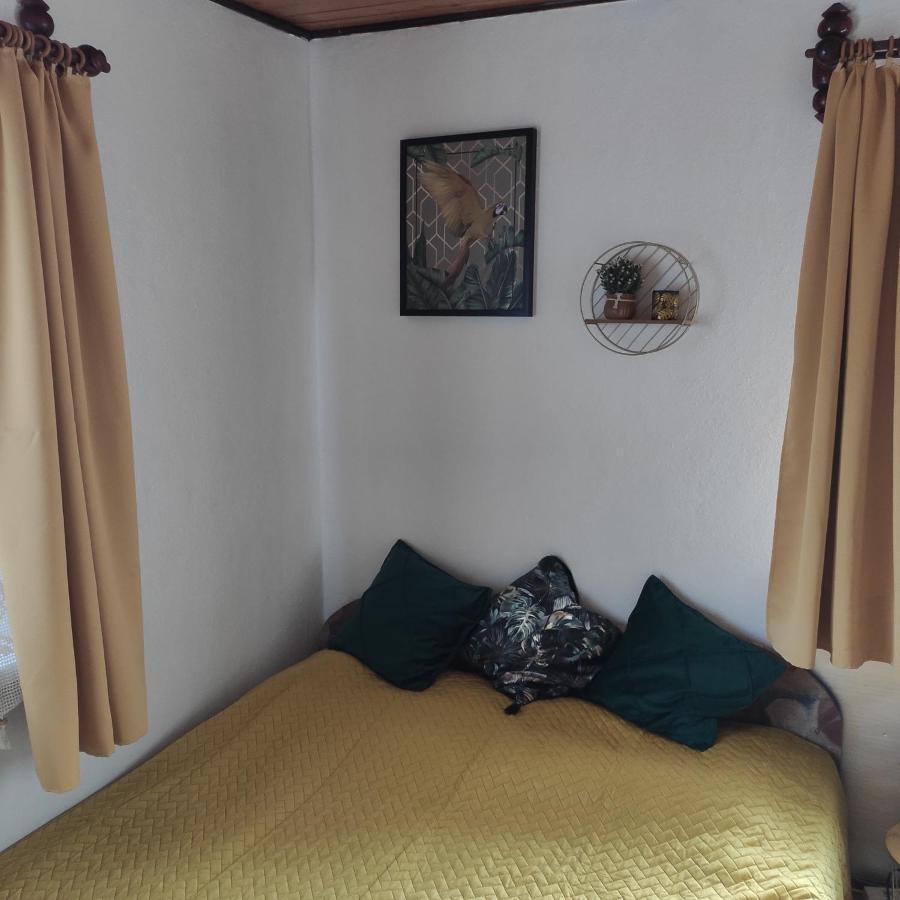 Home Stay Slotwinska Krynica Zdroj Exterior photo